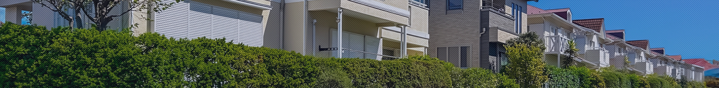 無料査定